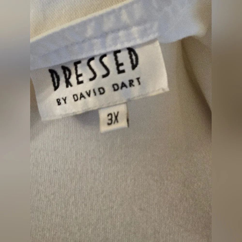 Dressed.       Dress.   335 - Picture 3 of 3